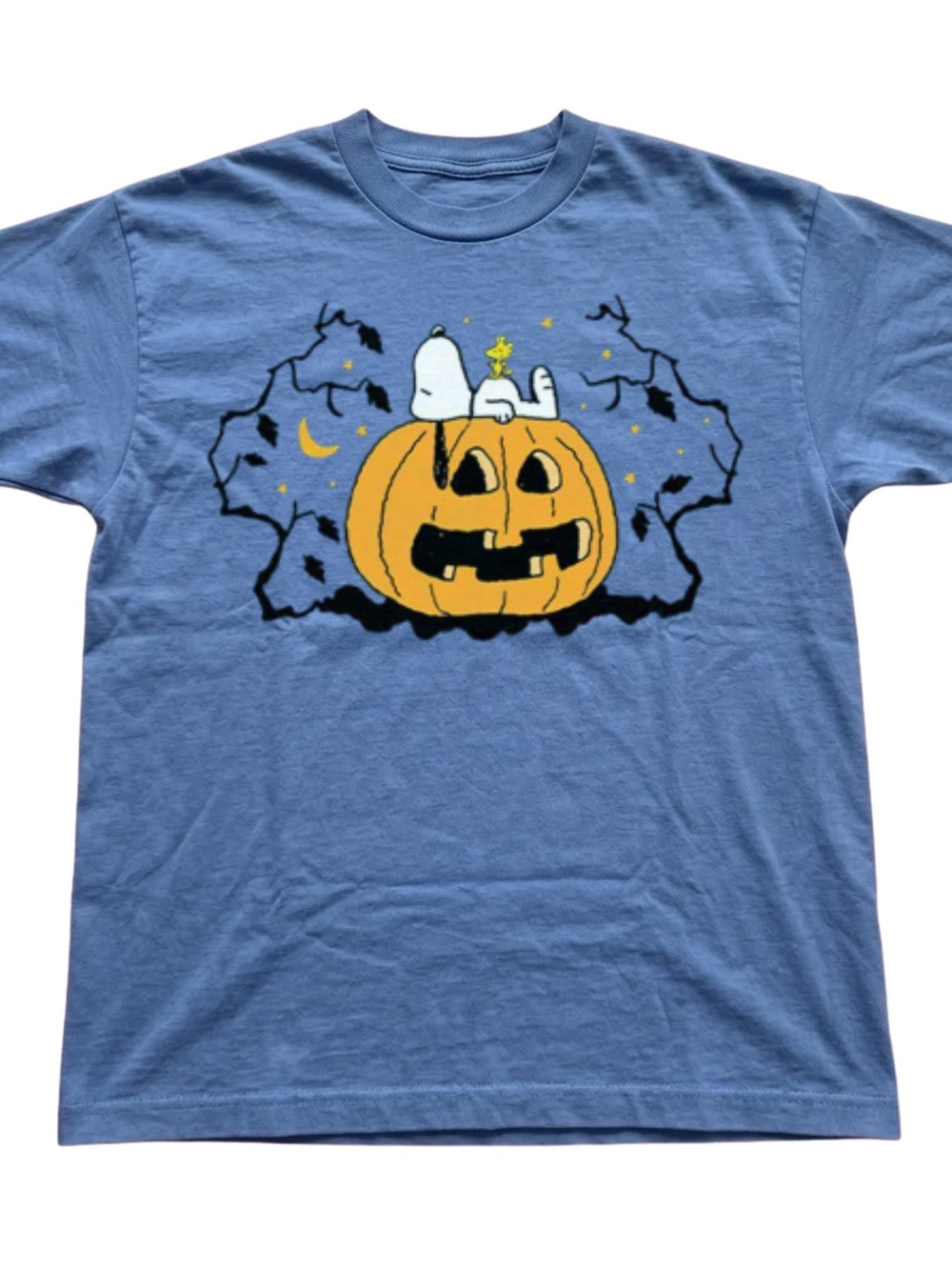 Gildan Light Blue Snoopy Pumpkin Graphic Tee, Gift For Her, For Him